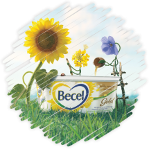 Folders & Flyers Folders & Flyers